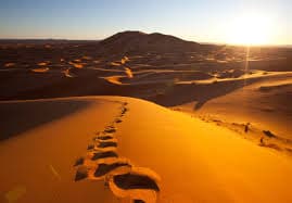 Sahara 2 days & 1 night